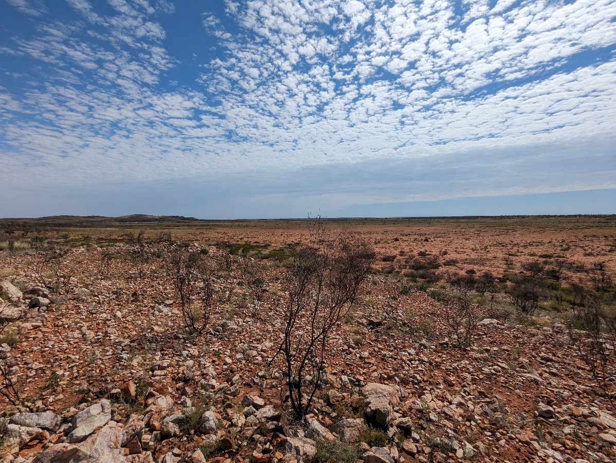 Landscape at the Balla Balla Gold Project