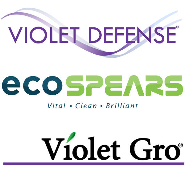 Featured Image for Violet Defense