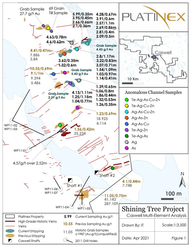 Shining Tree Project