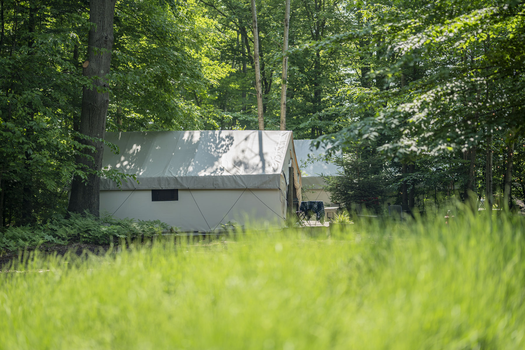 The Fields of Michigan, Outdoor Collection by Under Canvas