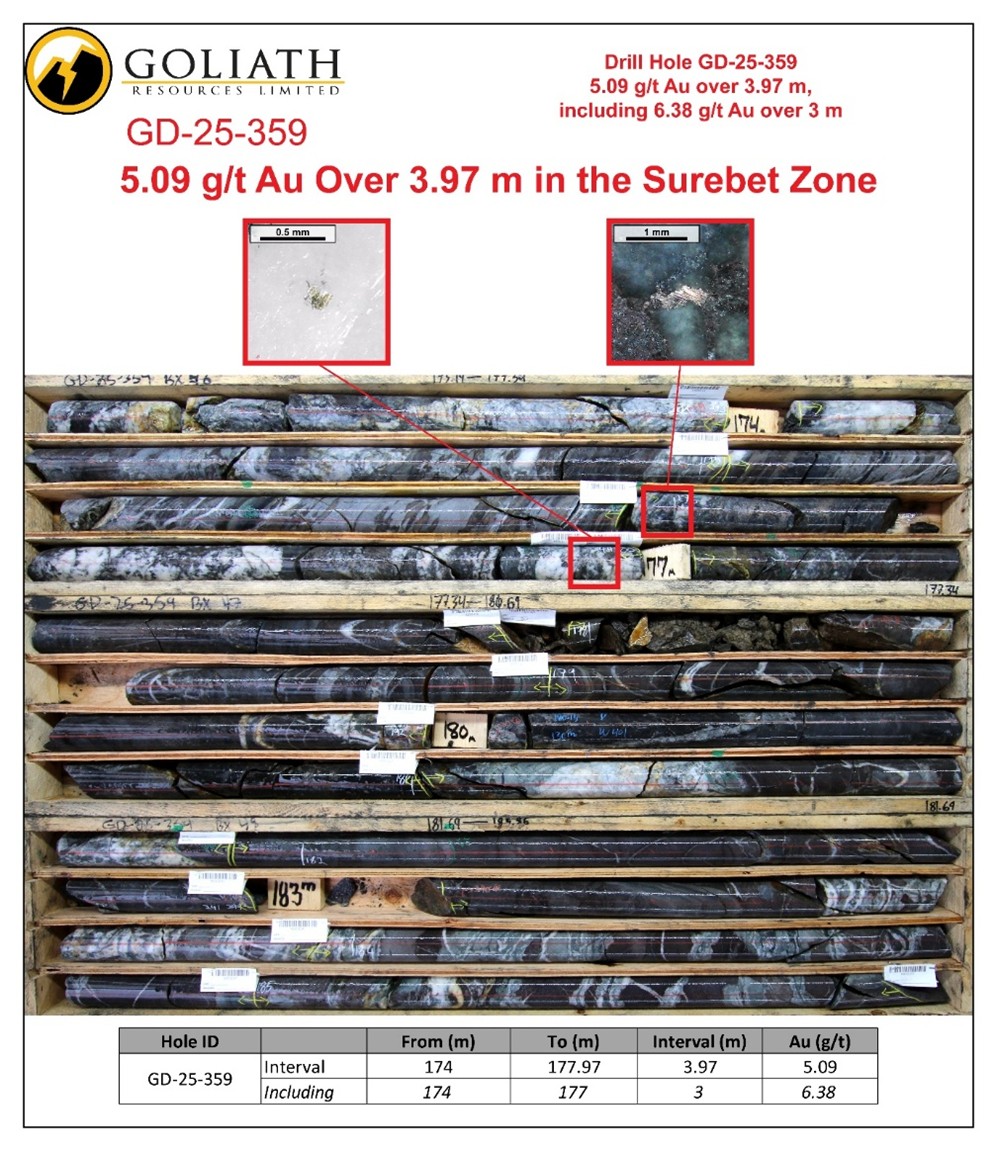 Infographic 7
