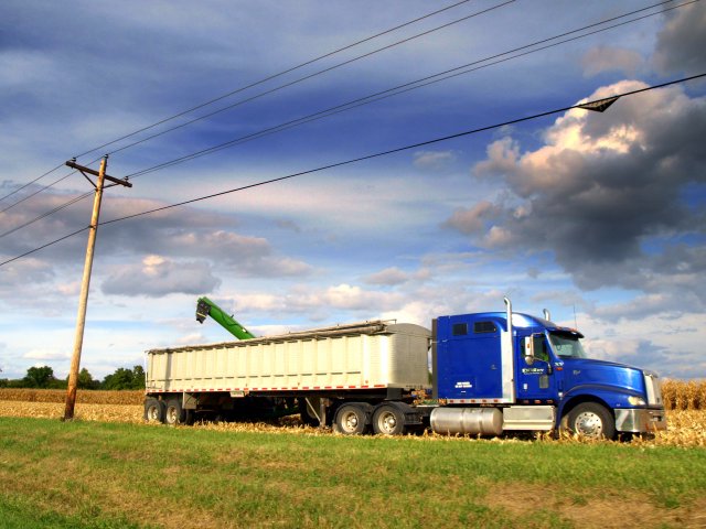 Remember to look up when working near power lines. 
photo: Safe Electricity 