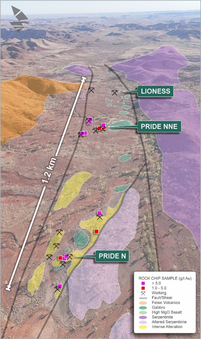 Aerial view (looking NE) of the Pride Shear Zone highlighting historic workings, recent high grade (> 5 g/t Au) rock chip samples, outcrop geology and surficial cover (not coloured).