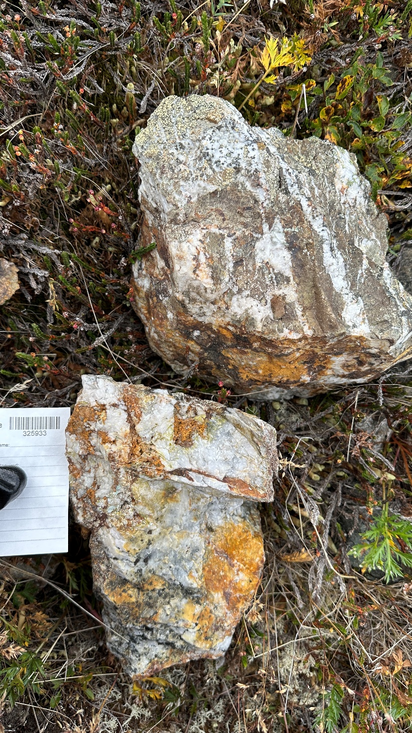 Figure 1 image