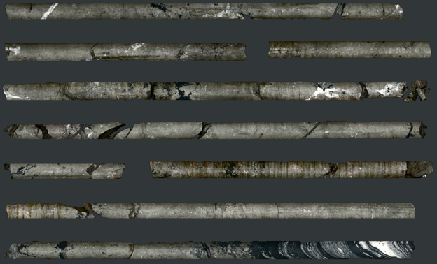 Core From Drill Hole