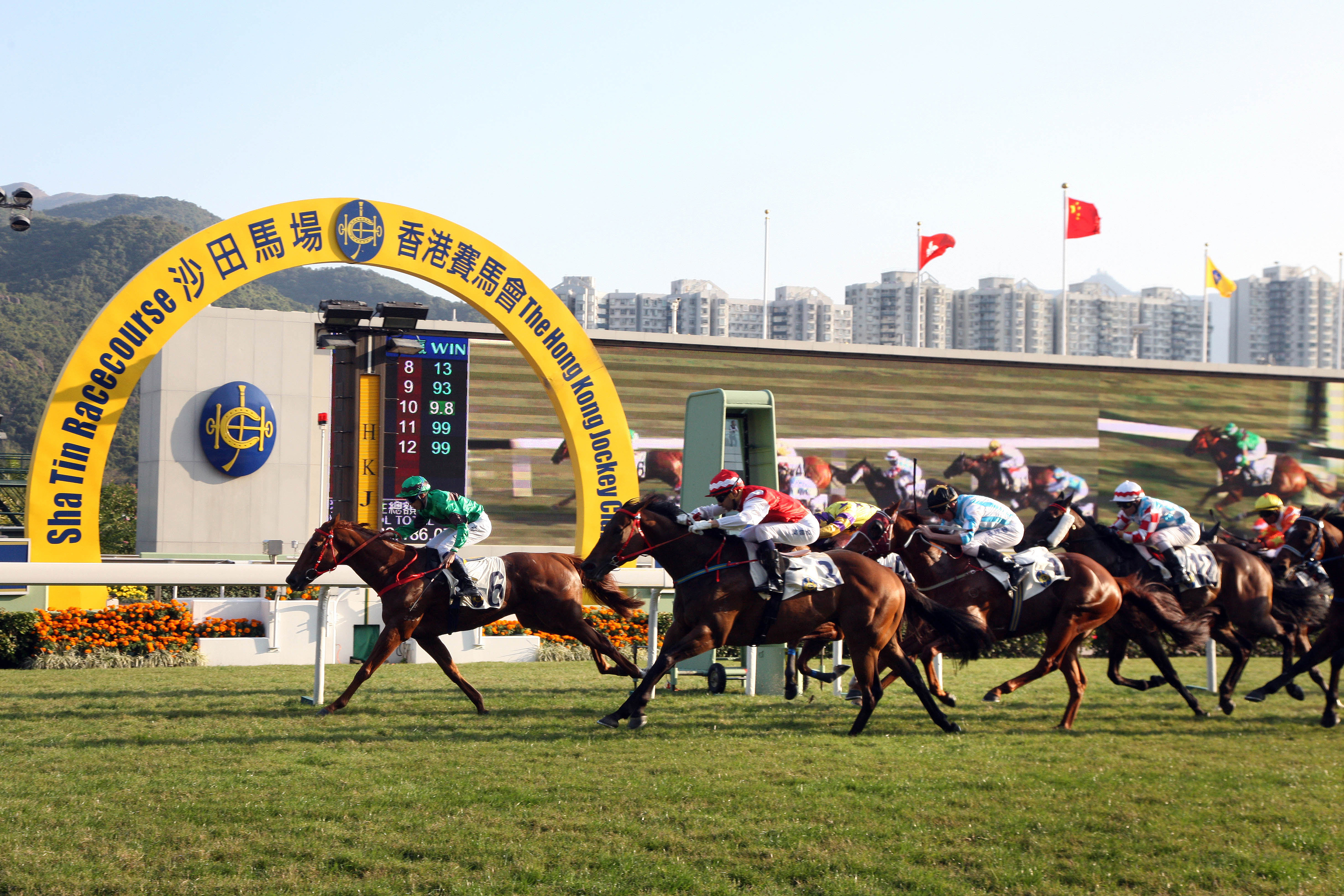 Hong Kong Derby