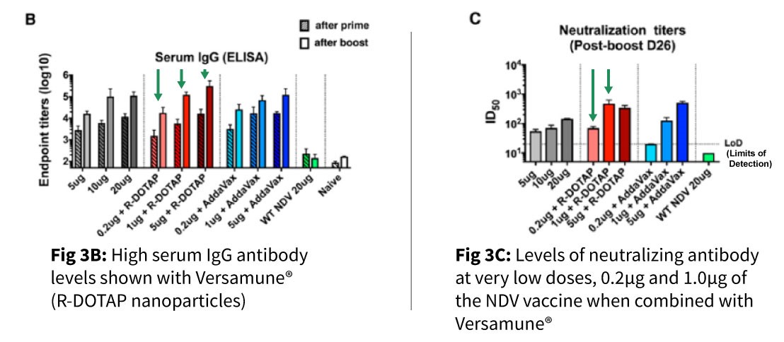 Versamune&reg; T-cell activating platform demonstrates breadth of anti-SARS-CoV-2 immune responses in a COVID-19 vaccine