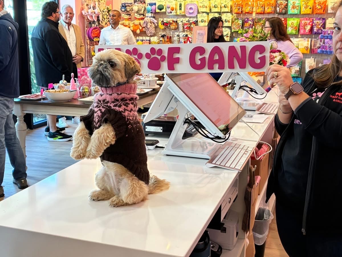 Middleton Dog Counter