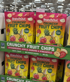 BranchOut Food Crunchy Fruit Chips 