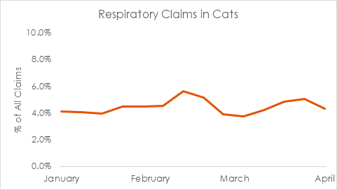 UPDATE: Trupanion proprietary data shows feline respiratory