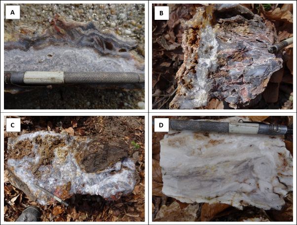 Field and slabbed examples of epithermal quartz veins from the north-east trending, +1,400m long Horna Klapa portion of Rhyolite Ridge. (A) Poorly developed crustiform-colloform vein piece (45532); (B) Low temperature chalcedonic quartz with included fragments of rhyolite rock (45533); (C) Massive chalcedonic quartz with included fragments of spherulitic rhyolite (45534); (D) Typical low temperature textures reflecting a low fluid-flux environment of formation within the upper levels of the upflow zone (45538). 