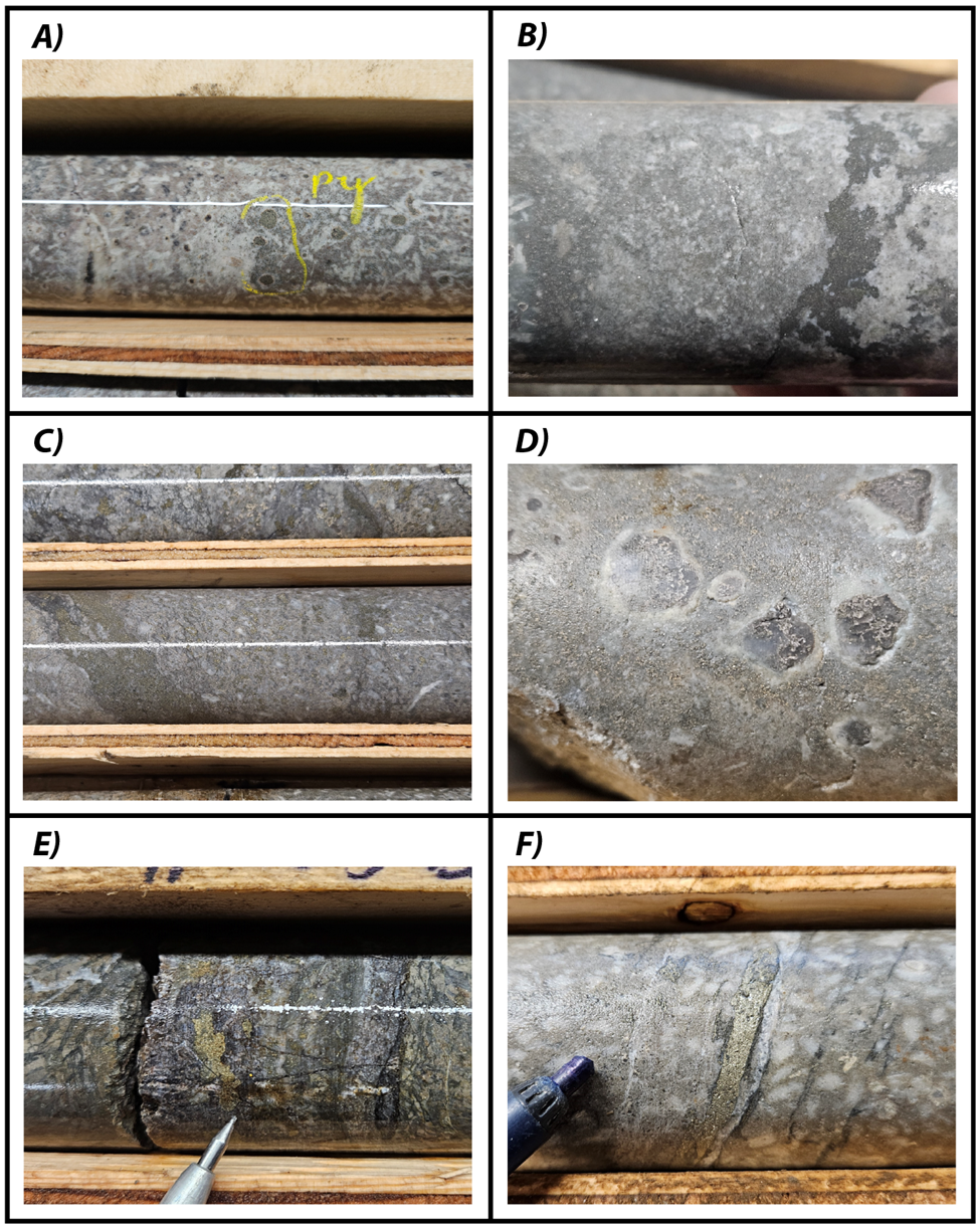 Figure 3 image