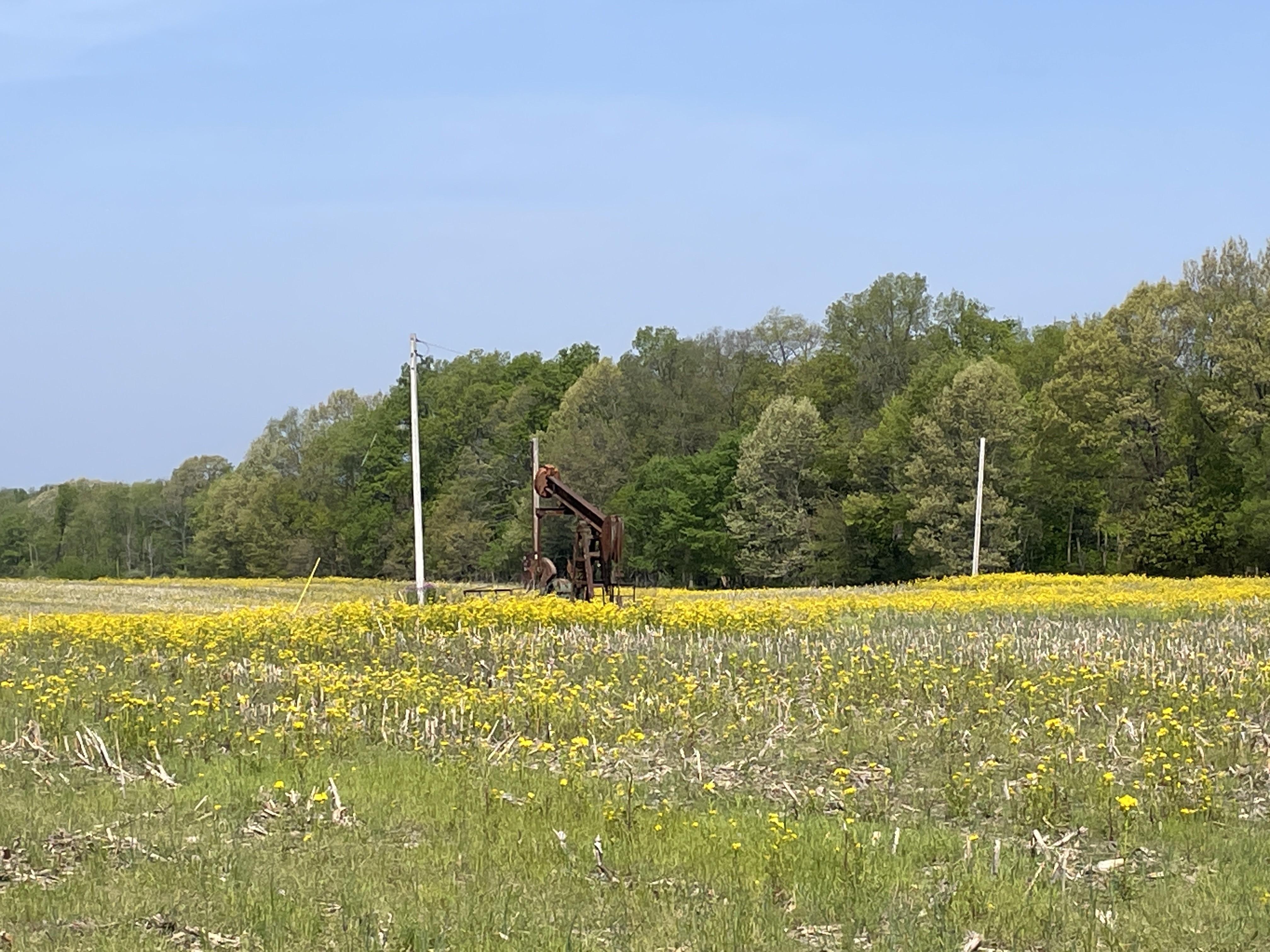 RWE's Casey Fork Solar Project in Jefferson County, Ilinois