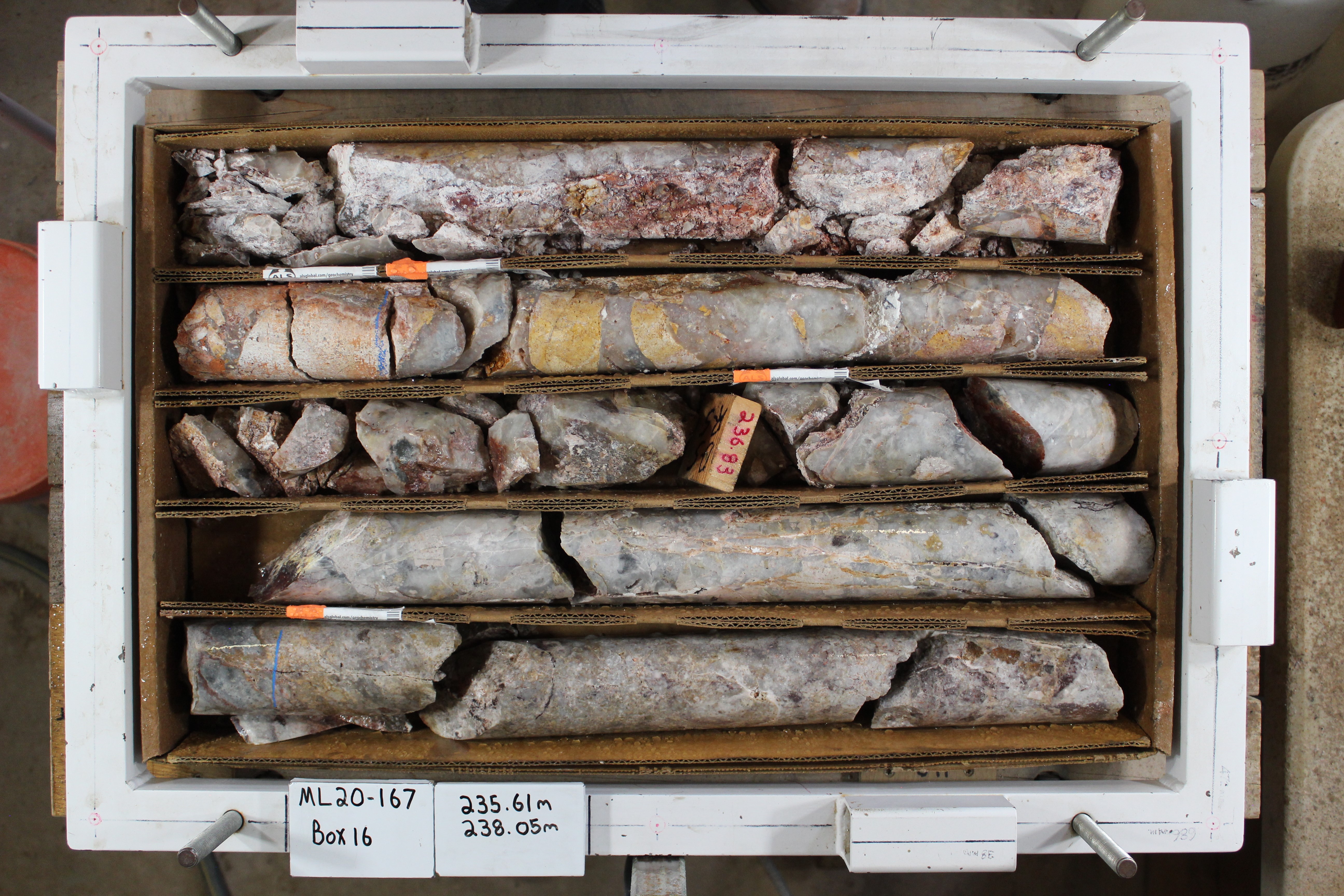 Lynnda Strip Core ML20-167CT Oct 29 2020