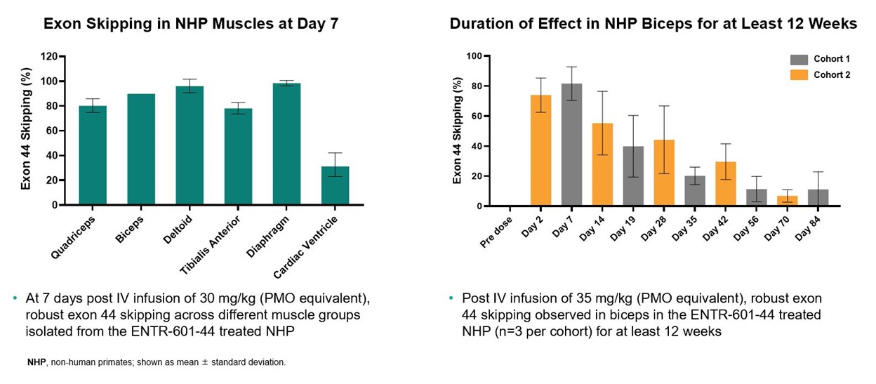A single IV dose of ENTR-601-44 resulted in robust exon skipping in both skeletal and cardiac muscles in NHP, as well as prolonged duration of effect for at least 12 weeks