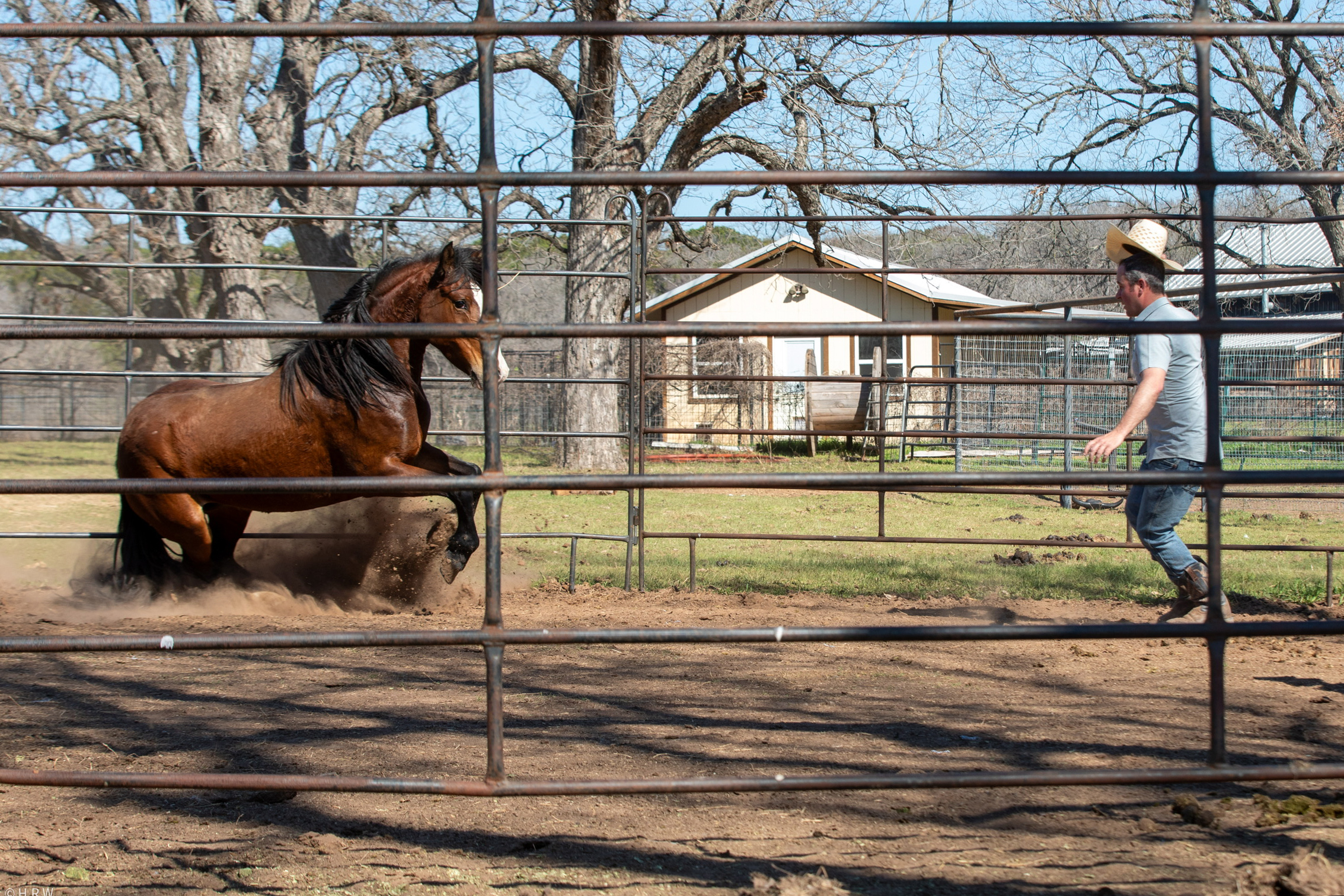 A man raises his cowboy hat to greet a brown horse in a paddock.