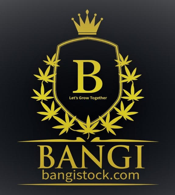 bangi.jpg