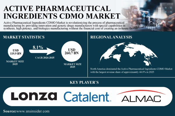Active Pharmaceutical Ingredients CDMO Market Size