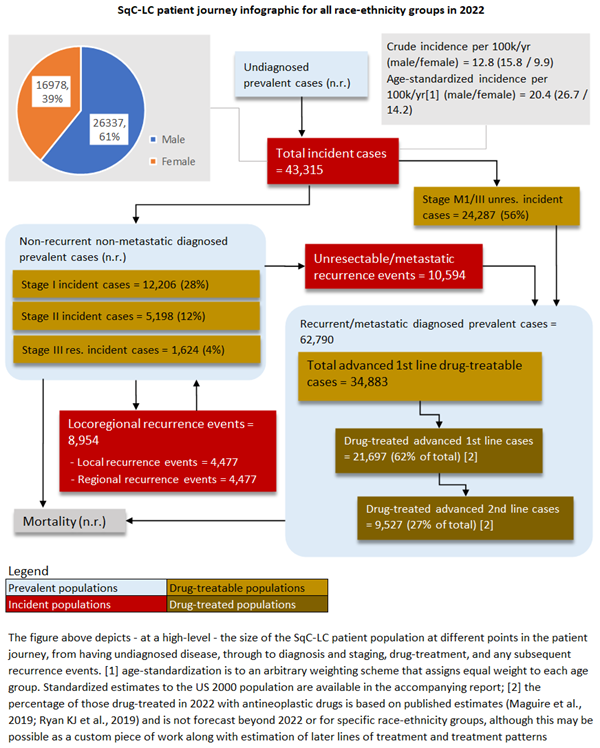 SQC LC Patient Journey Infographic For All Race