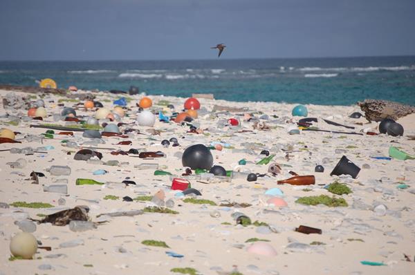 Une plage de plastique