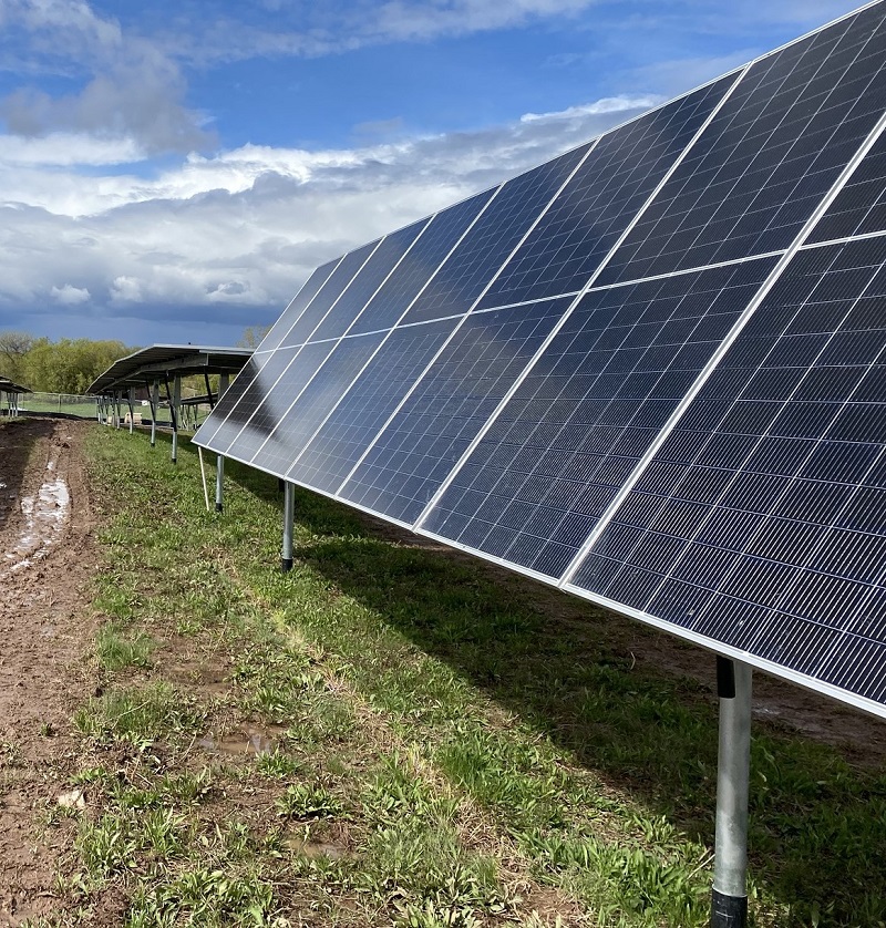 Solar panels at a community solar installation off State Route 5 in Vernon, New York. The 5.9 MW project is one of nine community solar sites in upstate New York acquired by Aggreko and on November 29, 2023, Aggreko oversaw connecting the project to the electrical grid.