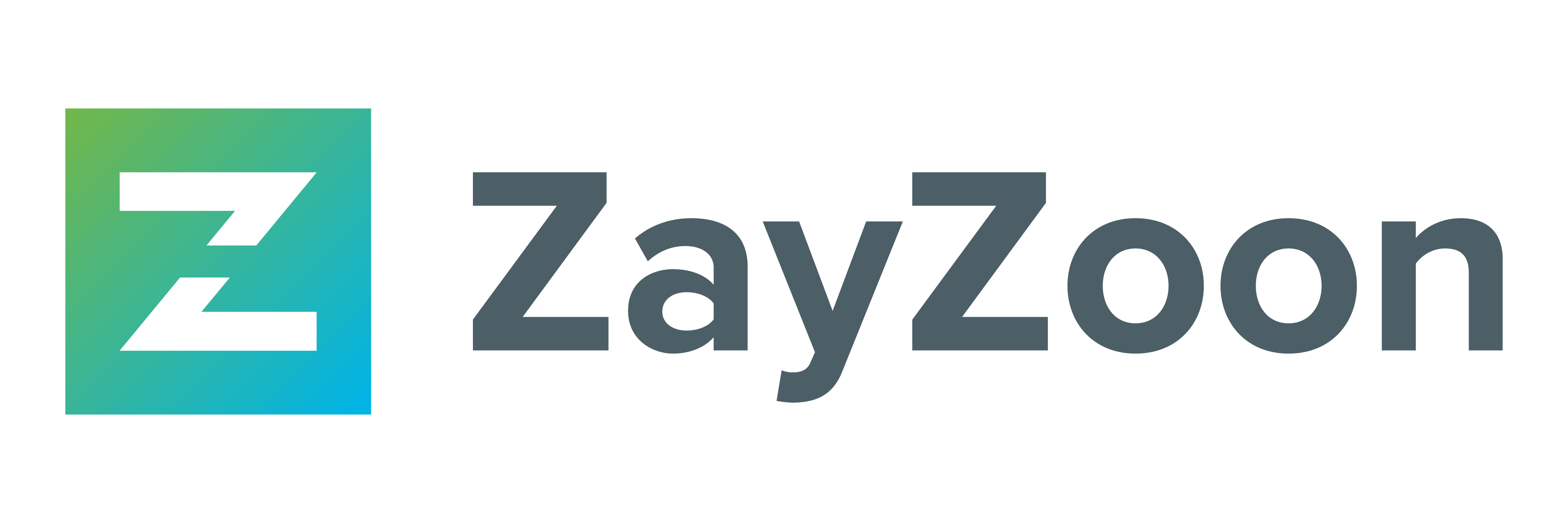 ZayZoon, Earned Wage Access