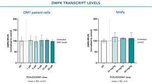 Figure 1. No significant changes in mean DMPK transcript levels were observed in DM1 patient cells or in NHPs.