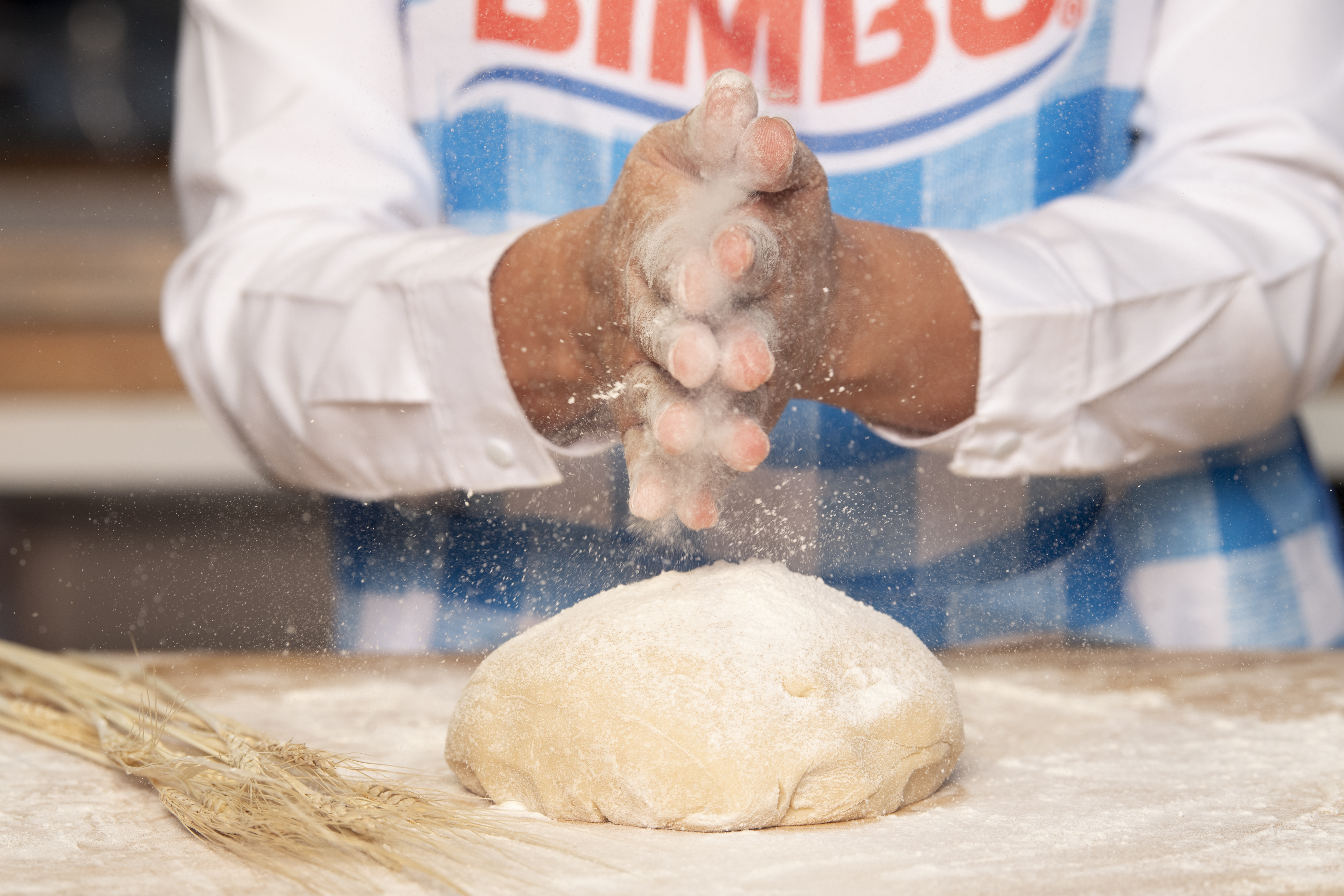 Grupo Bimbo Achieves Positive Nutrition Across 98% Of Its Everyday Consumption Portfolio