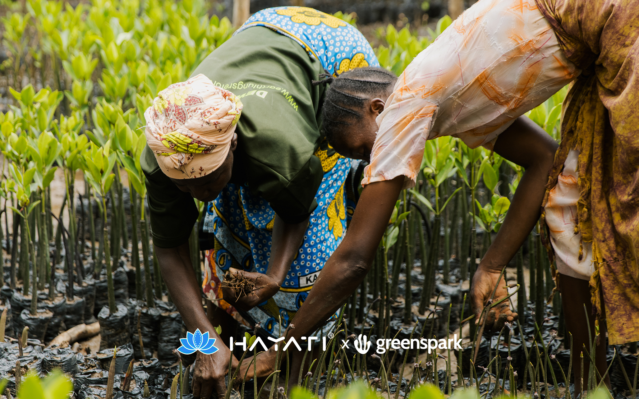 Local women planting tree seedlings as part of Hayati For Nature ecosystem restoration project with Greenspark