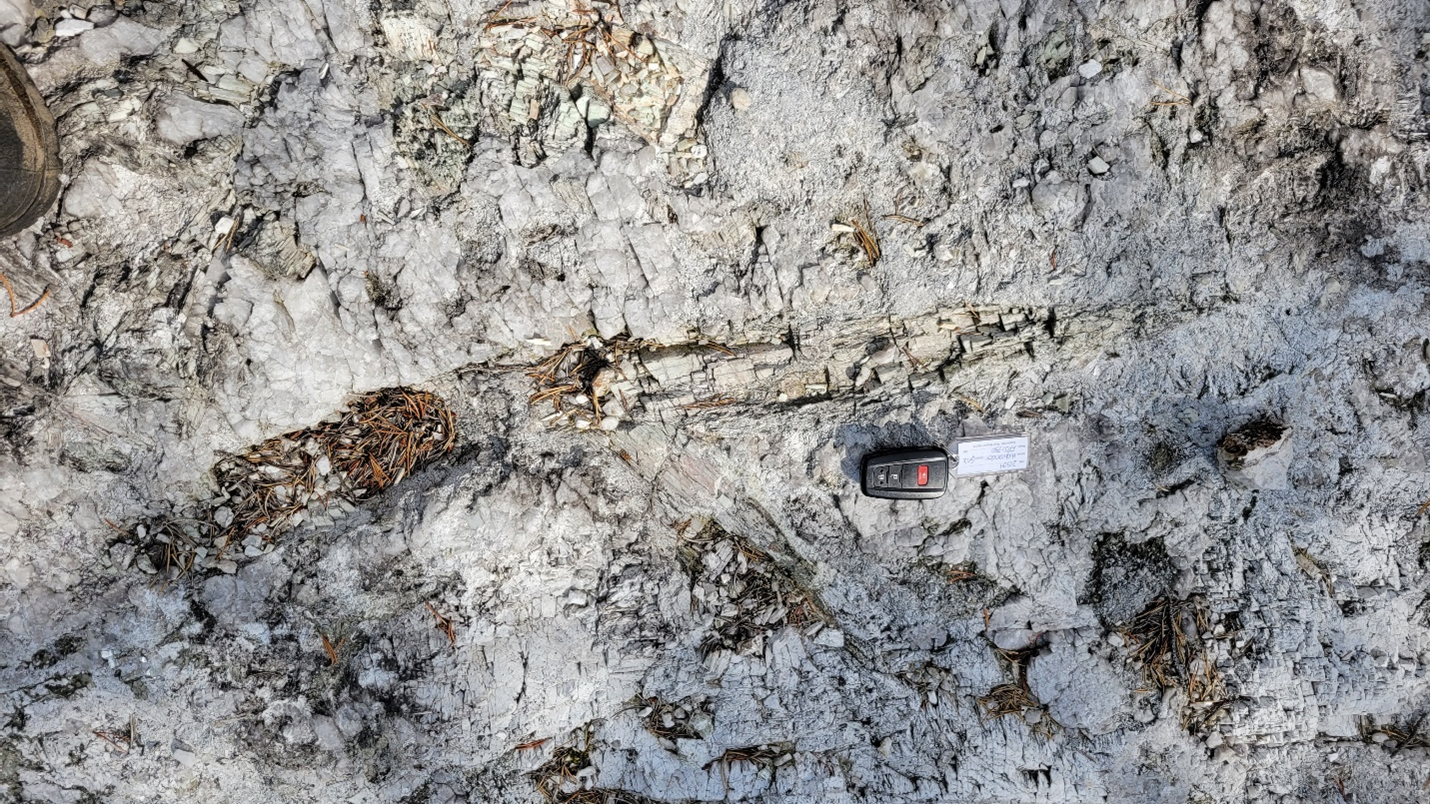 Up to 50-centimetre long spodumene crystals found in the pegmatite outcrops at the Baillargé property. Mapping and sampling have been conducted around these veins to determine their maximum strike extents, which as a result of such activities are now better understood.