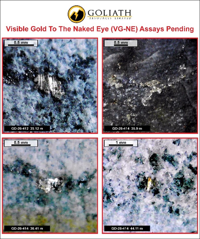 Infographic 5