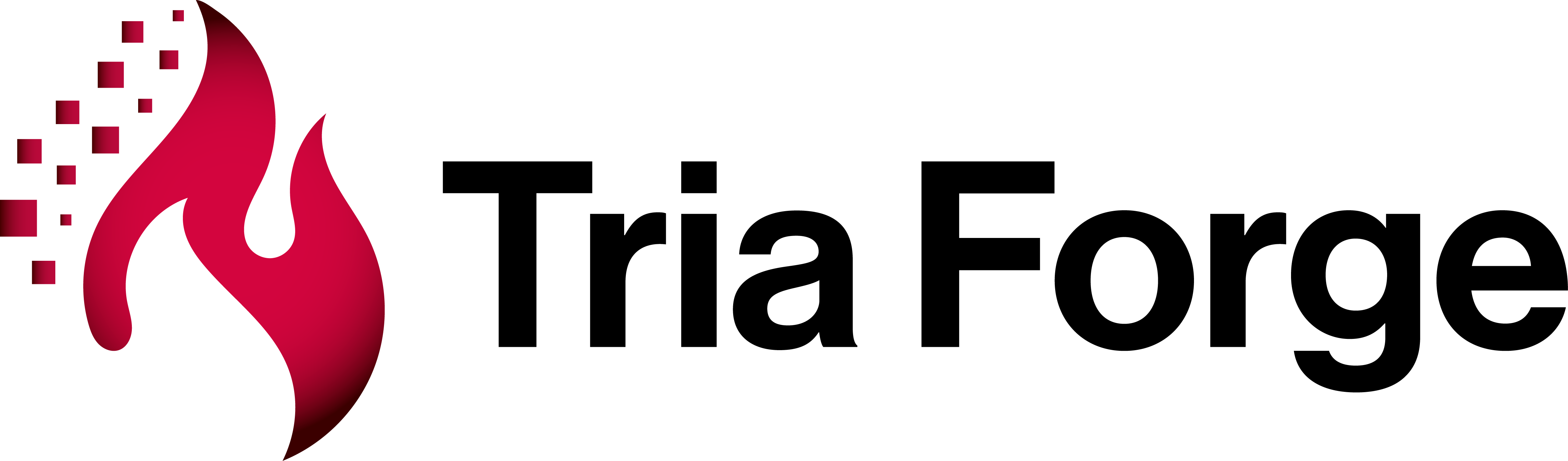 Tria Forge Logo_Black.png