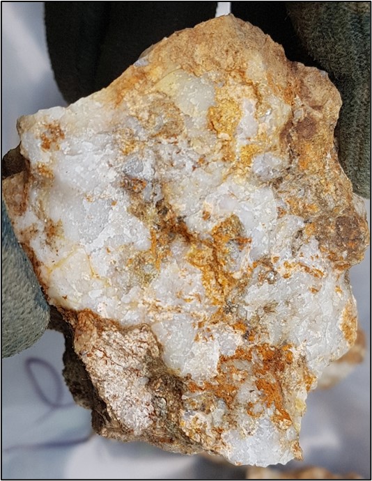 The 72 g/t gold sample