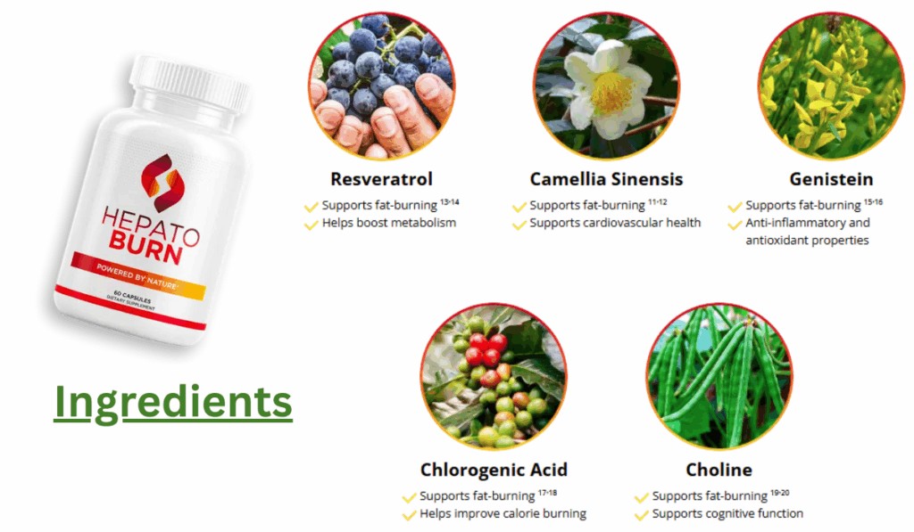HepatoBurn Ingredients