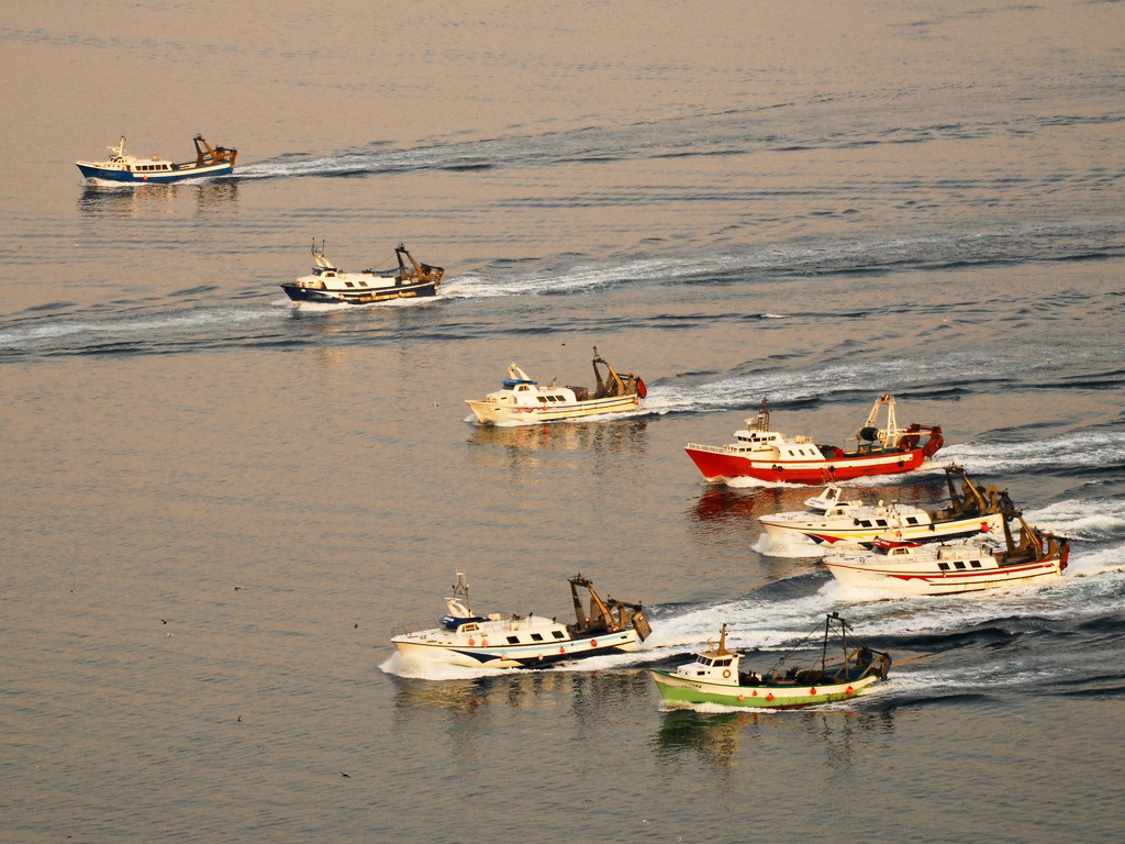 Fishing vessels heading out to sea.