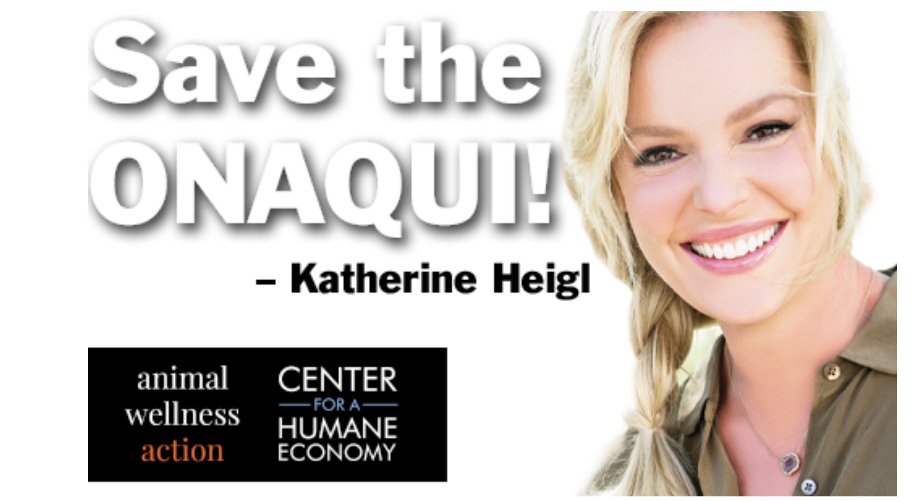 Actress Katherine Heigl joins Animal Wellness Action and the Center for a Humane Economy in the campaign to save the Onaqui wild horses in Utah. Visit: www.SaveTheOnaqui.org. 