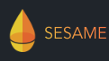 Sesame Token Logo.png