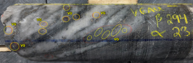 Figure 1. Multiple instances of visible gold in hole RLG-25-192b within a sheared smoky quartz vein. Drill core is HQ (63.5mm) diameter. image