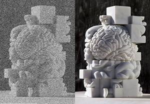 brain-sculpture-seen-with-and-without-VSS