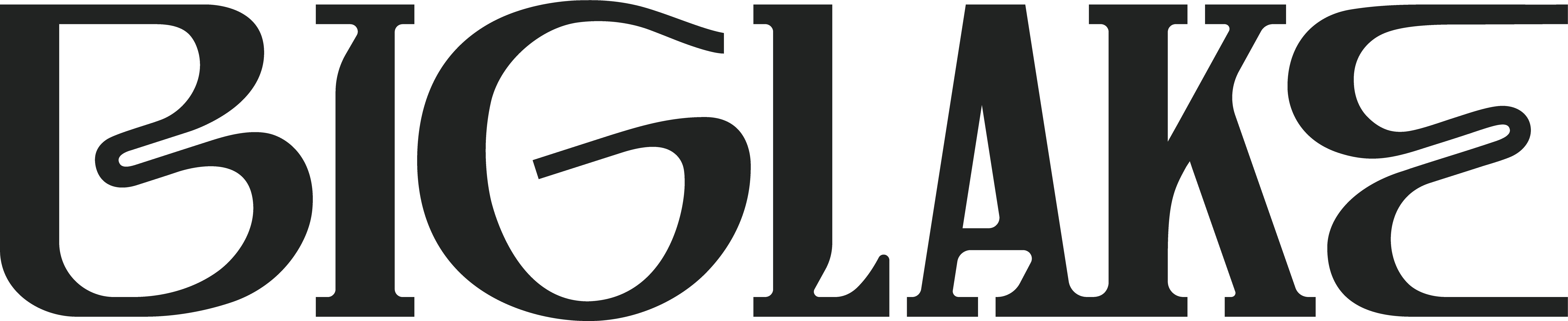 Biglake-Primary Wordmark-Black.png