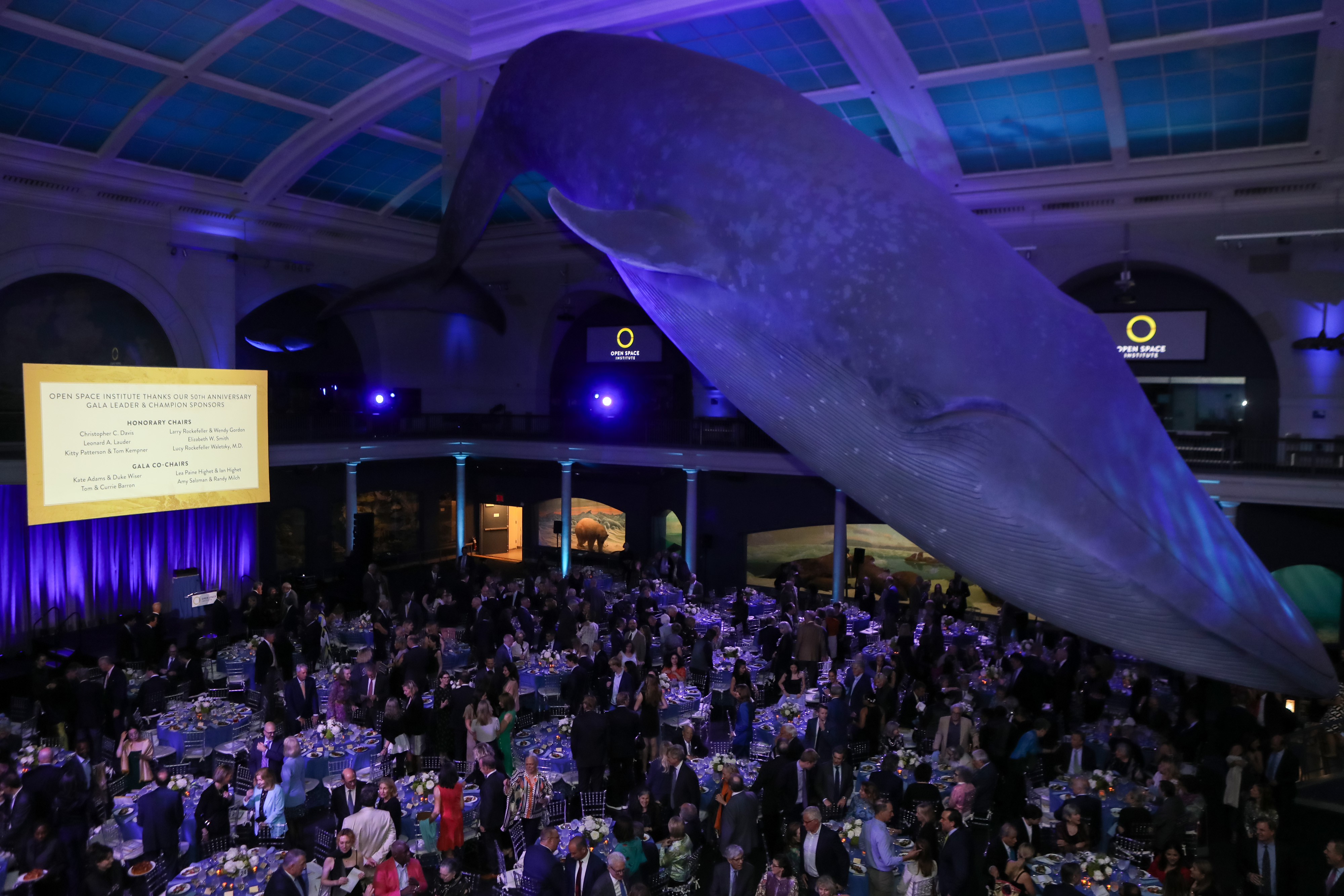 Nearly 550 friends and supporters gathered to celebrate 50 years of OSI's conservation successes. Photo by Udo Salters/Patrick McMullan, courtesy of the Open Space Institute