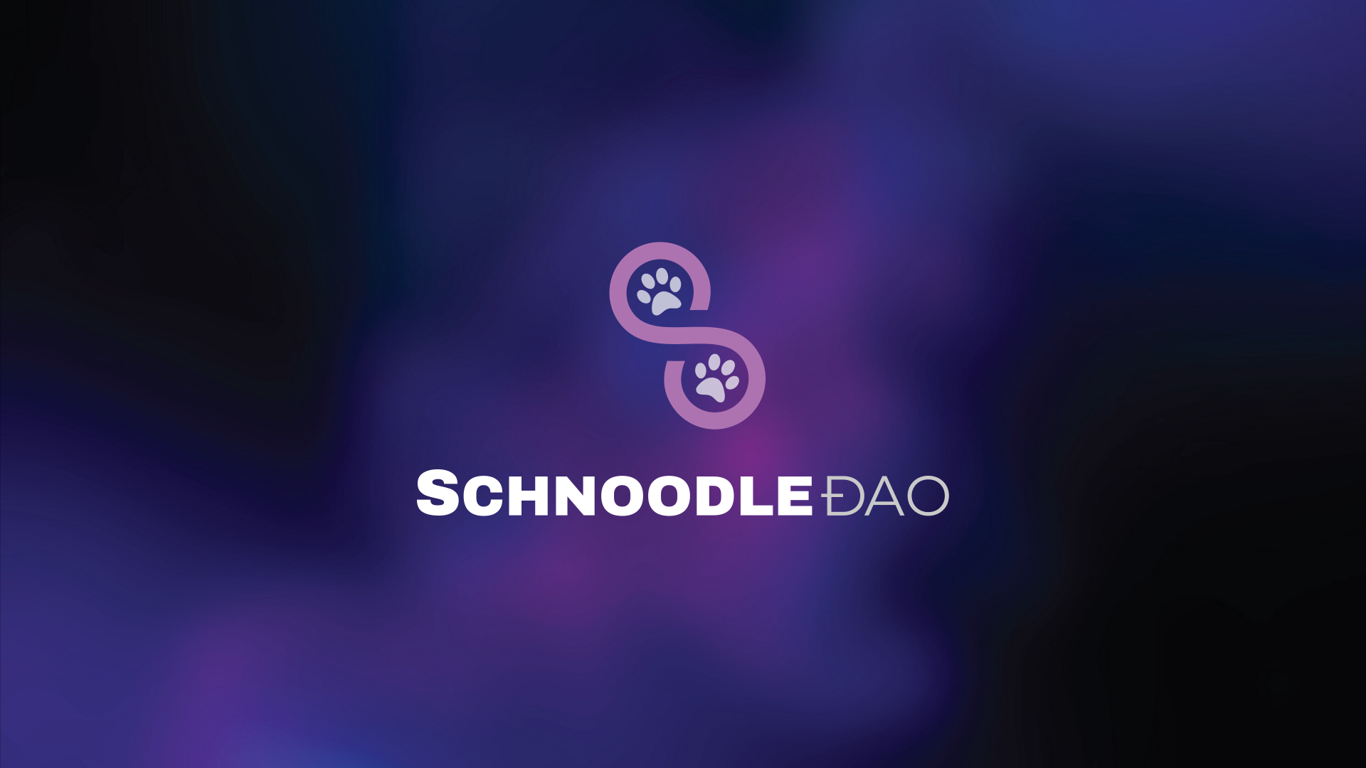 schnoodle-dao-bsc-launch1.png
