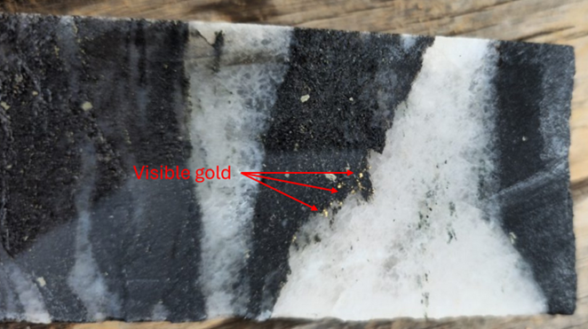 Visible gold at 181.70 m in 26DDH-JT-002, showing a cluster of visible gold on the margin of a quartz vein.