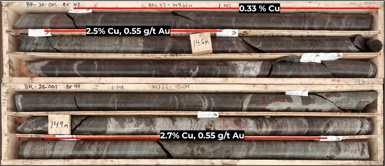 Figure 4 image