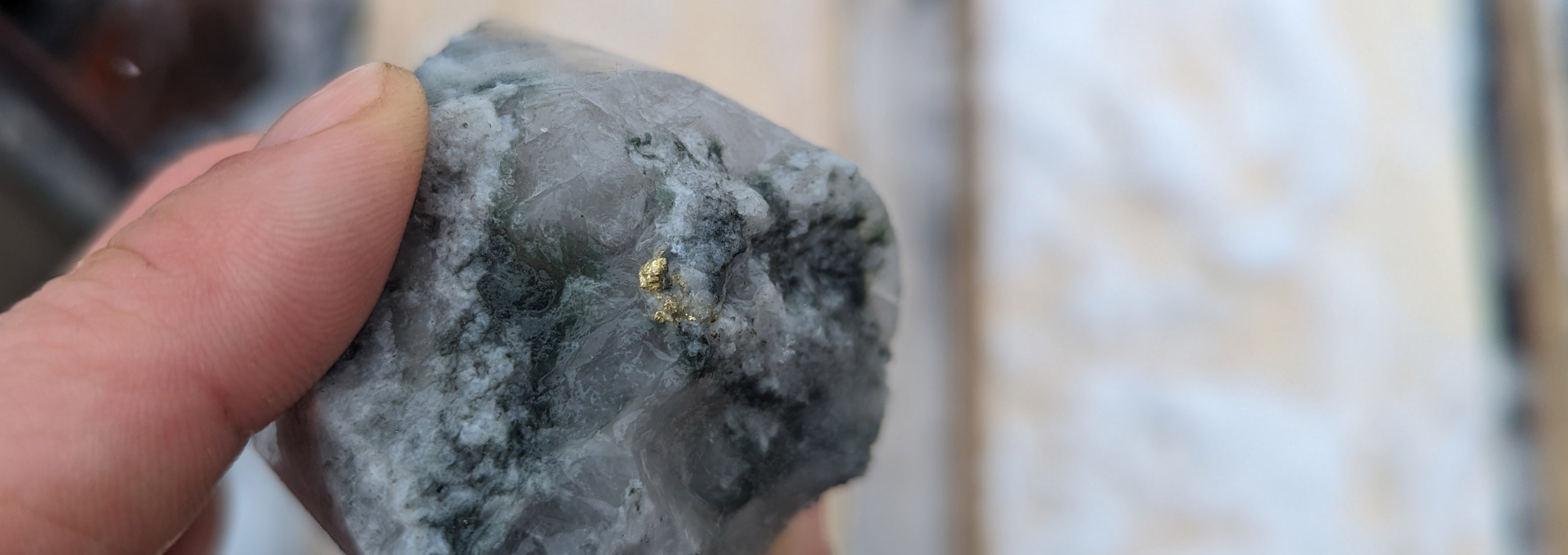 Gold specks in a chloritized quartz vein at 256.7 m in drill hole CH24-305.