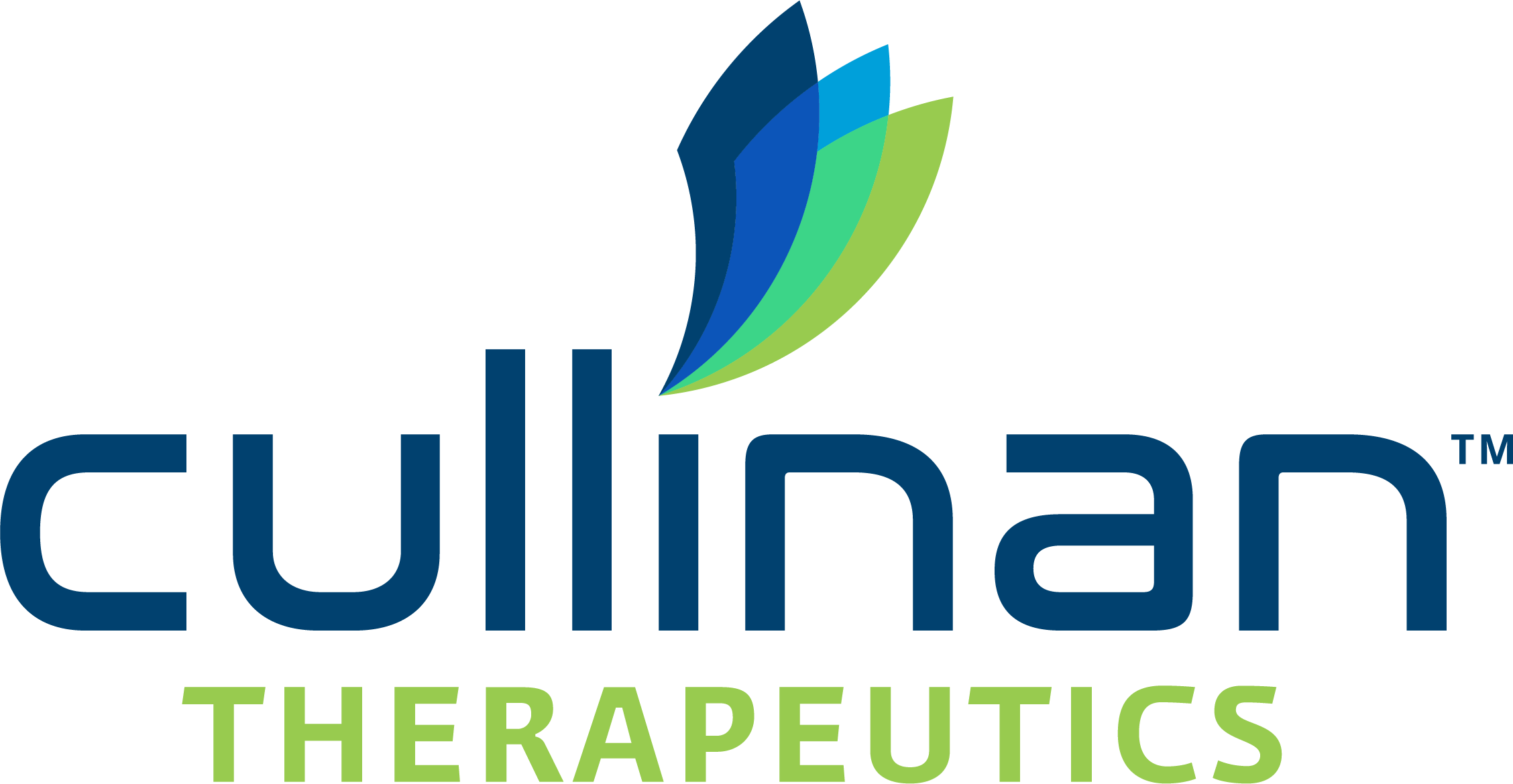 Cullinan_Logo_RGB_CLR.png