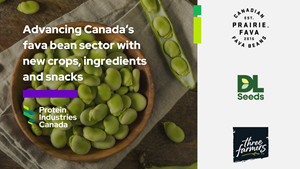 Advancing Canada's fava bean sector with new crops, ingredients and snacks