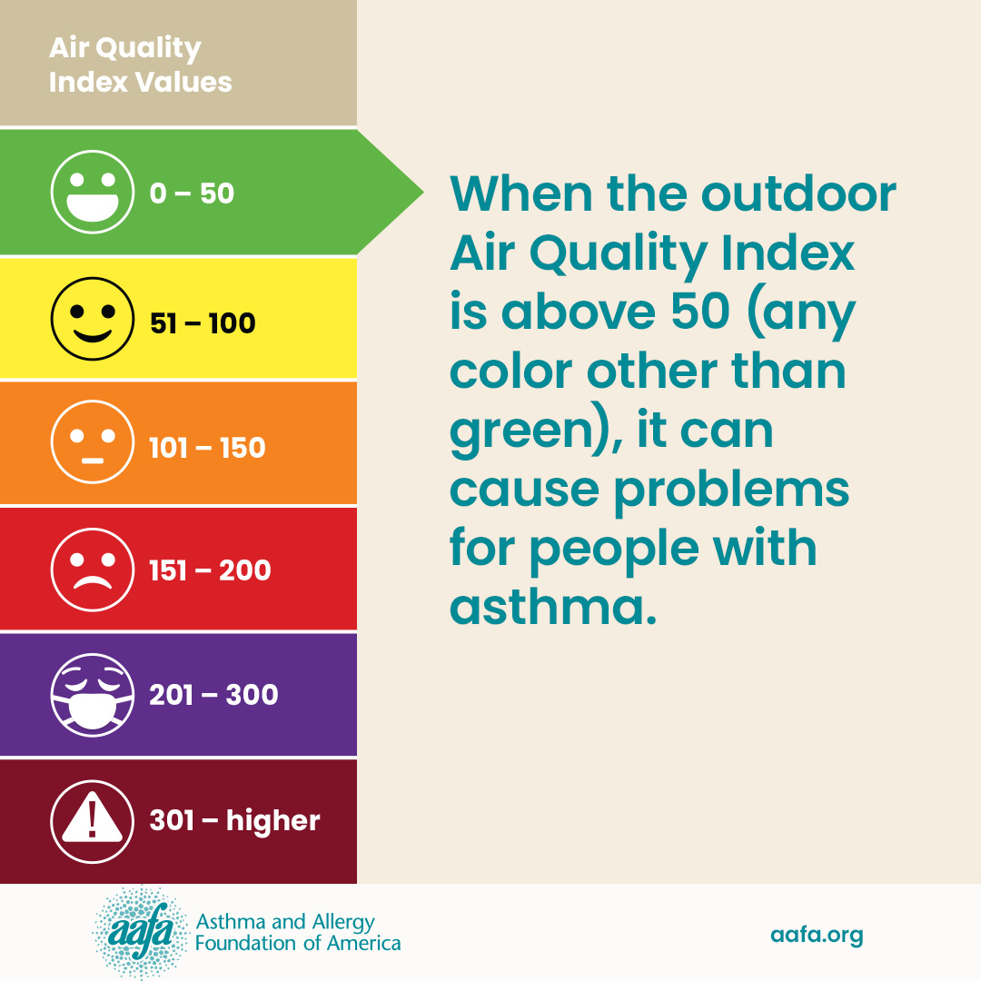 Air Quality Index