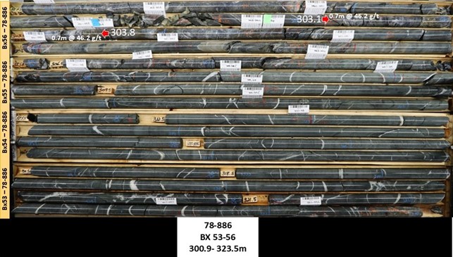 Photo of Cores from 785N Zone (Hole 78-886). 