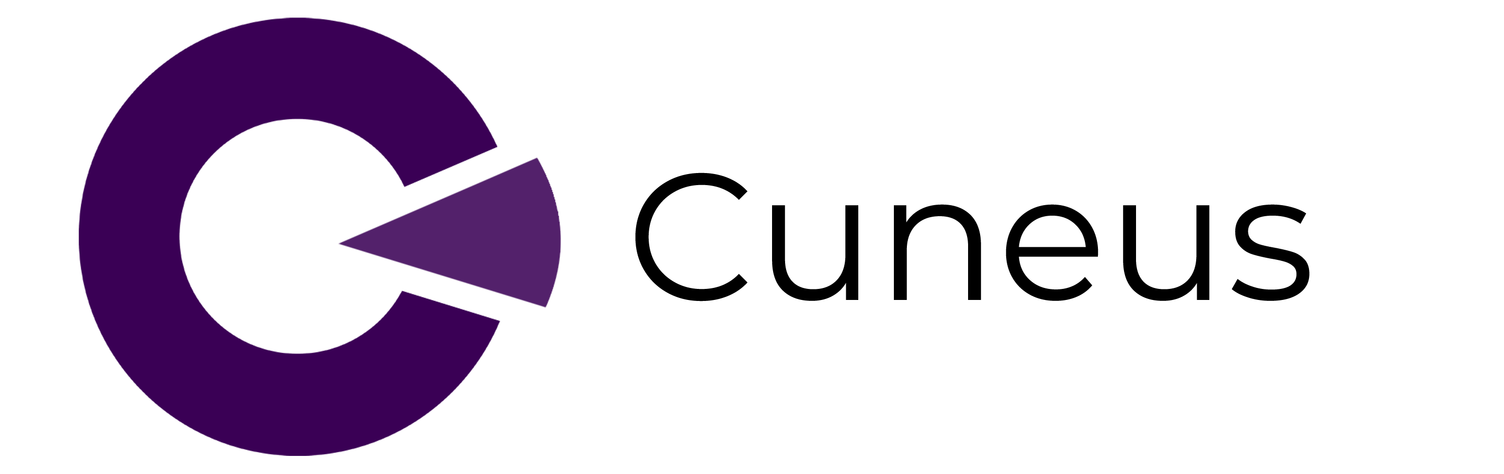 cuneus logo word (transparent).png